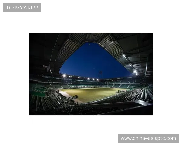 那些年我们追逐的绿茵传奇与梦想足球之星的辉煌岁月