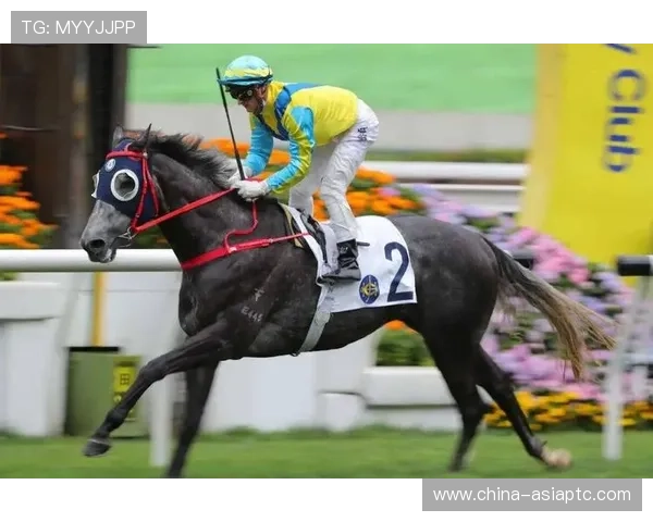 韩国足球新星郑优营崭露头角 向世界足坛展示无限潜力